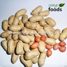 2014 new crop peanuts importers in uae